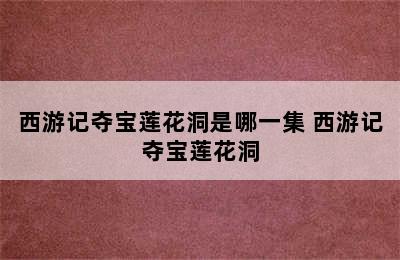 西游记夺宝莲花洞是哪一集 西游记夺宝莲花洞